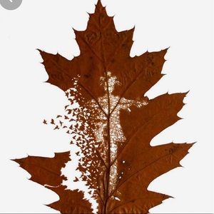 Meet your Posher, Pendar